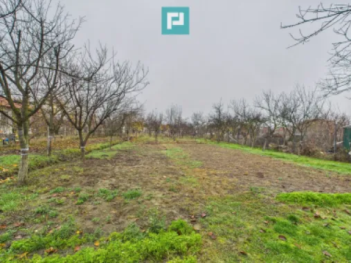 Două case pe un teren generos în Ghiroda