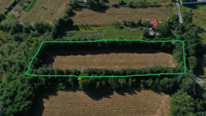 Teren de vânzare pe Valea Avrigului – locație superbă la poalele munților!