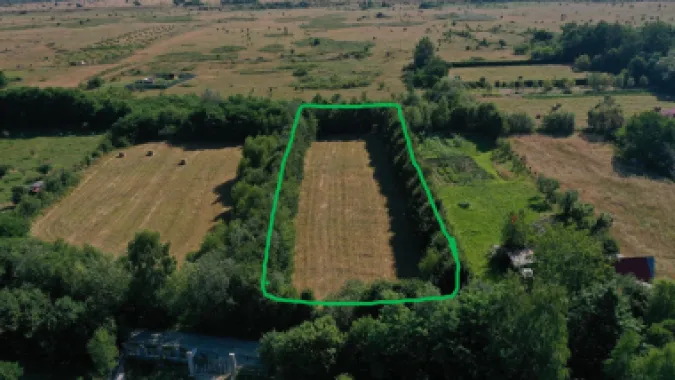 Teren de vânzare pe Valea Avrigului – locație superbă la poalele munților!