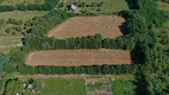 Teren de vânzare pe Valea Avrigului – locație superbă la poalele munților!