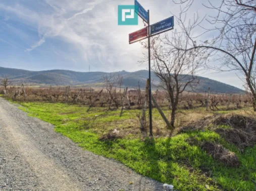 Casuță cu priveliște panoramică spre Cetatea Șiria