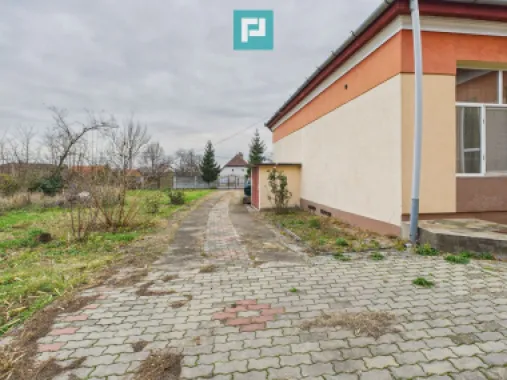 CONAC IMPRESIONANT ÎN GHIOROC