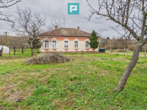 CONAC IMPRESIONANT ÎN GHIOROC