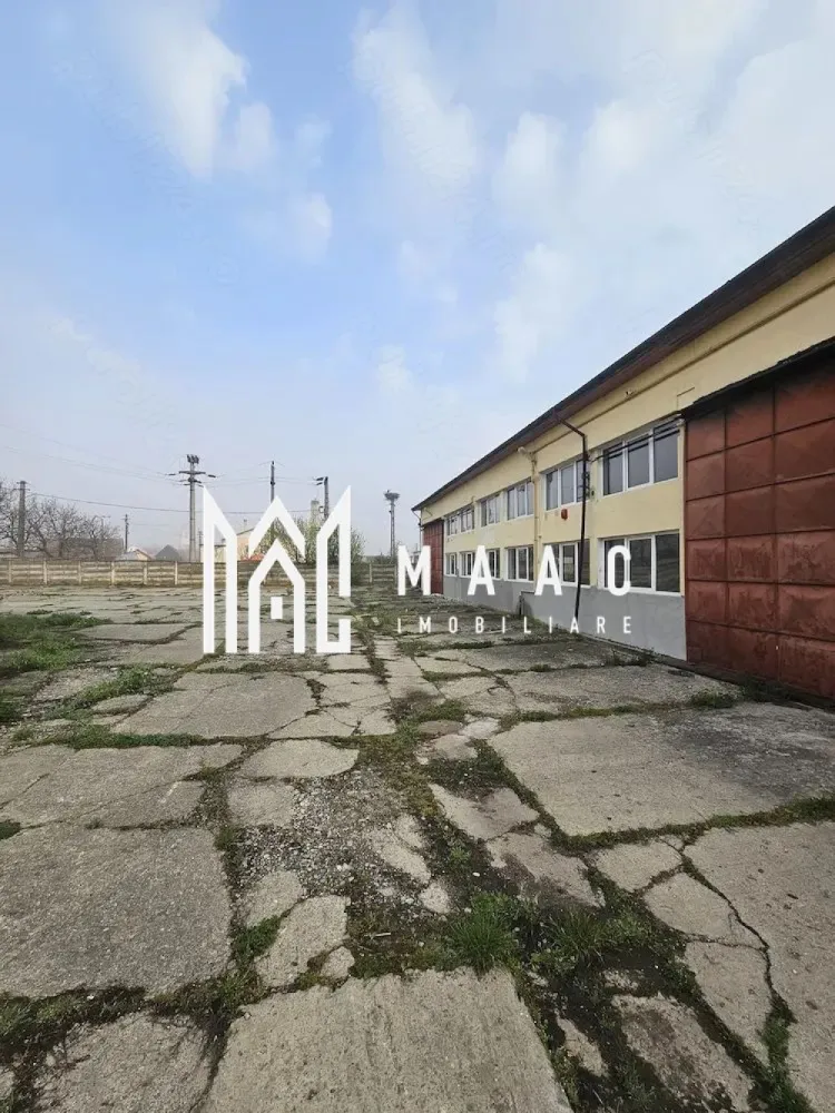 Hala I Spatiu Comercial I Nocrich - Maac Imobiliare ofera spre Inchiriere hala industriala pretabila pentru diferite activități.
Hala dispune de toate utilitățile apa,canal,gaz curent trifazic de mare putere.

Pentru mai multe detalii sau programarea unei vizionari anuntati telefonic CP3040462