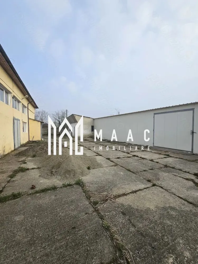 Hala I Spatiu Comercial I Nocrich - Maac Imobiliare ofera spre Inchiriere hala industriala pretabila pentru diferite activități.
Hala dispune de toate utilitățile apa,canal,gaz curent trifazic de mare putere.

Pentru mai multe detalii sau programarea unei vizionari anuntati telefonic CP3040462