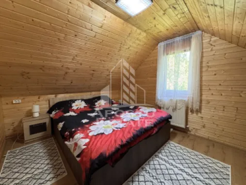 Casa din lemn, zona muntoasa, cu rau, la cheie, Ribita, Hunedoara