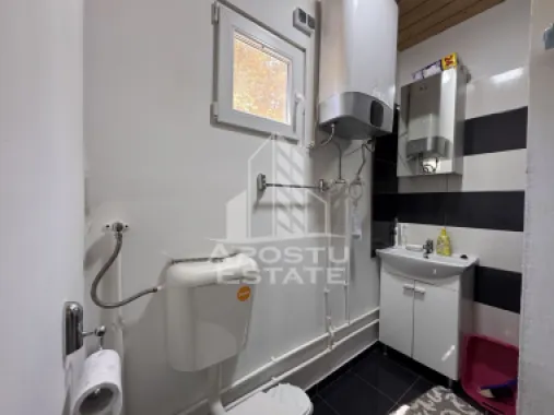 Casa din lemn, zona muntoasa, cu rau, la cheie, Ribita, Hunedoara