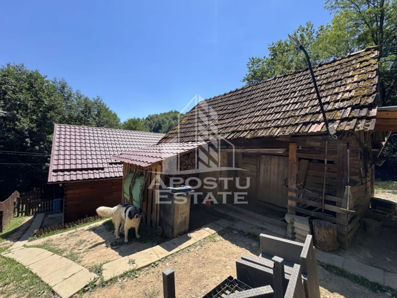 Casa din lemn, zona muntoasa, cu rau, la cheie, Ribita, Hunedoara