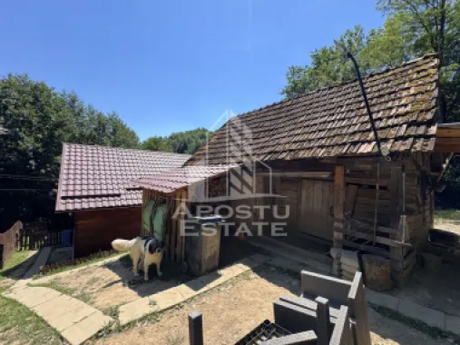 Casa din lemn, zona muntoasa, cu rau, la cheie, Ribita, Hunedoara