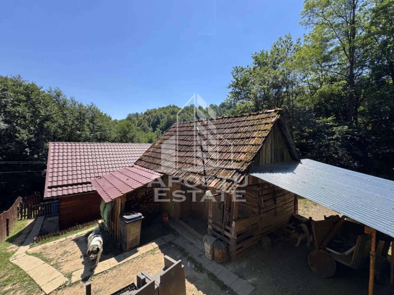 Casa din lemn, zona muntoasa, cu rau, la cheie, Ribita, Hunedoara