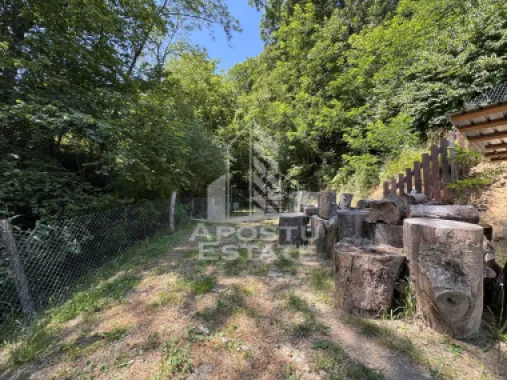 Casa din lemn, zona muntoasa, cu rau, la cheie, Ribita, Hunedoara