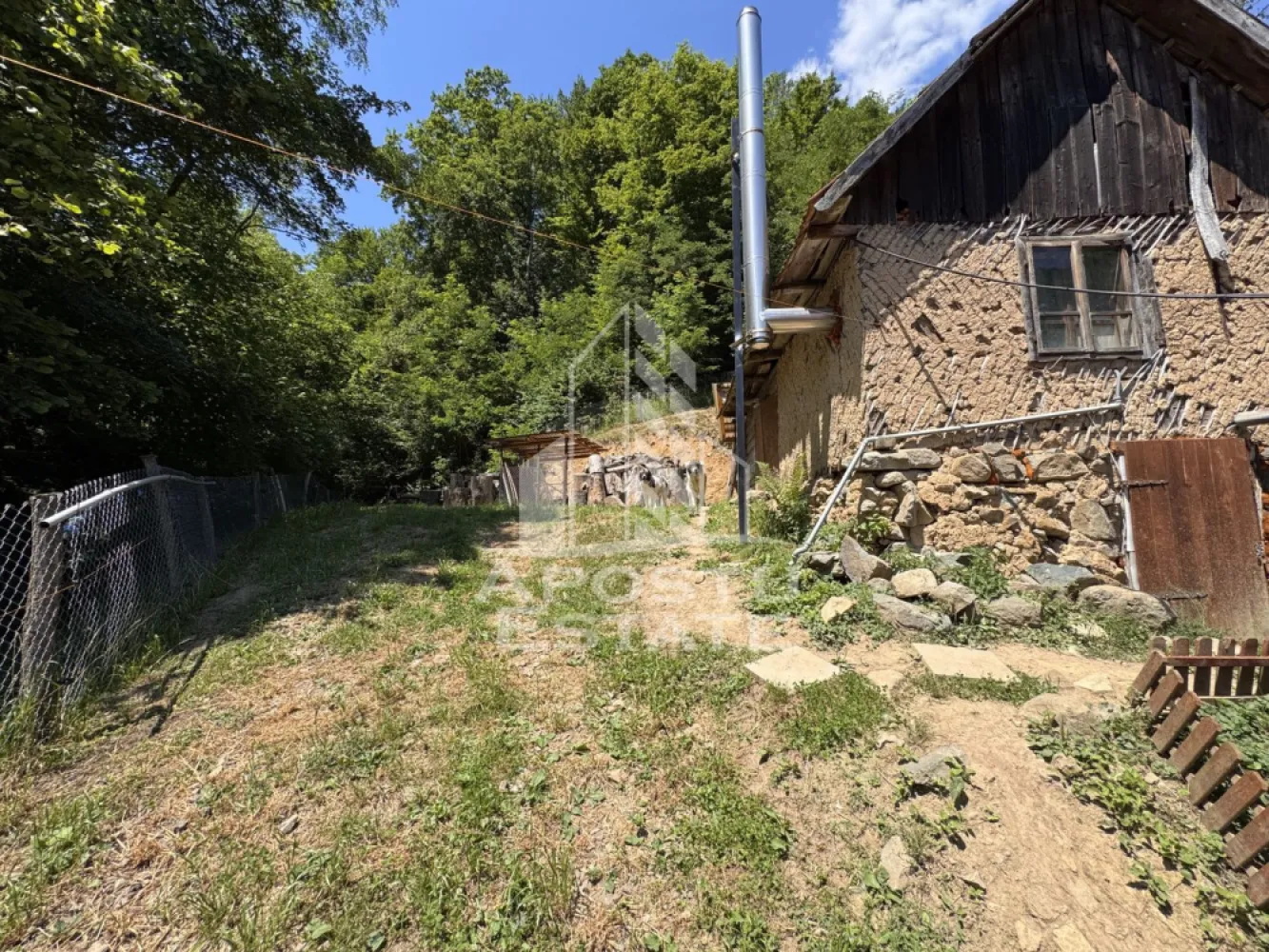 Casa din lemn, zona muntoasa, cu rau, la cheie, Ribita, Hunedoara