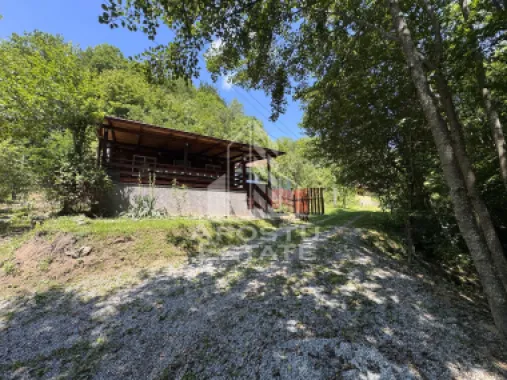 Casa din lemn, zona muntoasa, cu rau, la cheie, Ribita, Hunedoara
