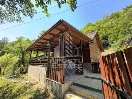 Casa din lemn, zona muntoasa, cu rau, la cheie, Ribita, Hunedoara