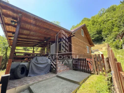 Casa din lemn, zona muntoasa, cu rau, la cheie, Ribita, Hunedoara