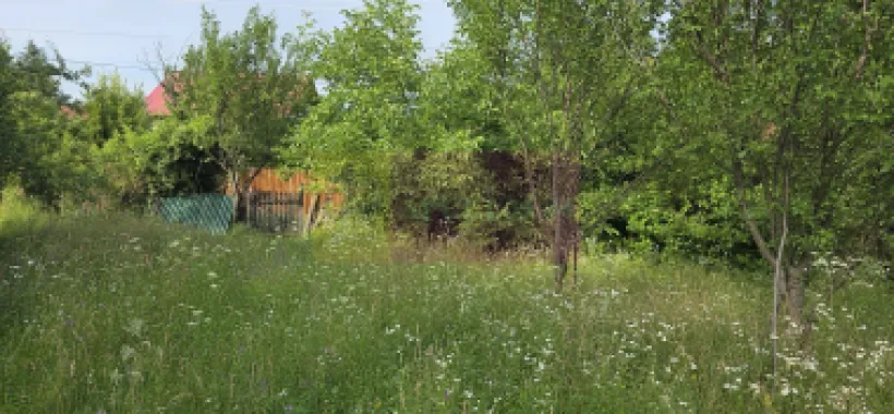 Teren 3026 de vanzare in Brebu