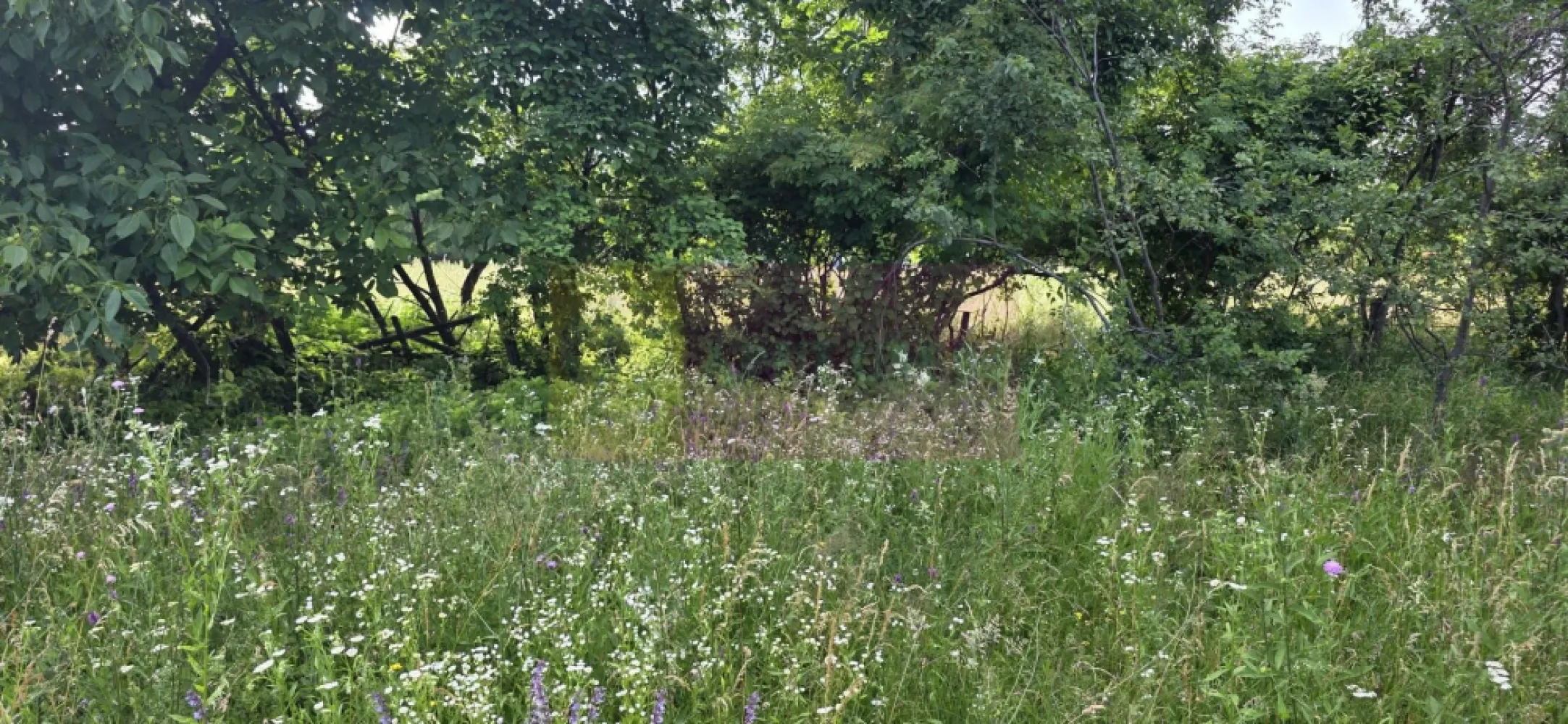 Teren 3026 de vanzare in Brebu - Teren intravilan de vânzare în Brebu, Prahova – 3.026 mp, toate utilitățile la proprietate

Agenția Imobiliară MERVANI vă propune spre vânzare un teren intravilan situat în comuna Brebu, una dintre cele mai apreciate zone rezidențiale și de vacanță din județul Prahova, renumită pentru liniște, aer curat și peisajele sale deosebite. Localitatea se află la doar câțiva kilometri de Câmpina și este înconjurată de dealuri și păduri, oferind un cadru natural ideal pentru locuire sau relaxare.

Terenul are o suprafață generoasă de 3.026 mp și o deschidere de 28 metri la drum asfaltat, fiind amplasat într-o zonă verde, retrasă și liniștită, predominată de case de vacanță și locuințe individuale.

Un avantaj important al proprietății îl reprezintă existența tuturor utilităților la limita terenului:

 apă;
 gaz natural;
 energie electrică;
 CATV;
 internet.

Datorită poziționării sale, terenul este ideal pentru construirea unei locuințe permanente, a unei case de vacanță sau pentru o investiție într-o zonă aflată în continuă dezvoltare.

Dacă vă doriți un loc unde natura, liniștea și accesul facil se îmbină perfect, această proprietate reprezintă o alegere excelentă.

Pentru informații suplimentare și programarea unei vizionări, contactați Agenția Imobiliară MERVANI la telefon 0729 935 536.
