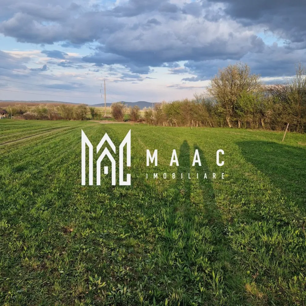 Teren | Extravilan | 3404 MP | Sadu | Oportunitate Investiții