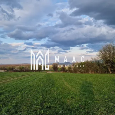 Teren | Extravilan | 3404 MP | Sadu | Oportunitate Investiții
