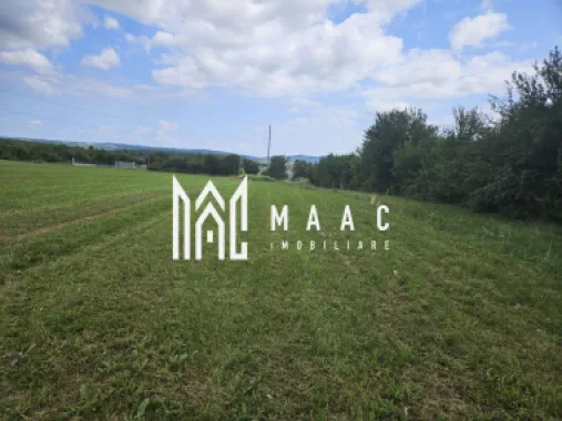 Teren | Extravilan | 3404 MP | Sadu | Oportunitate Investiții