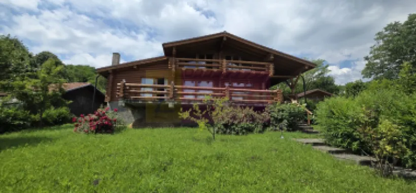 Logo Apulum94 logo