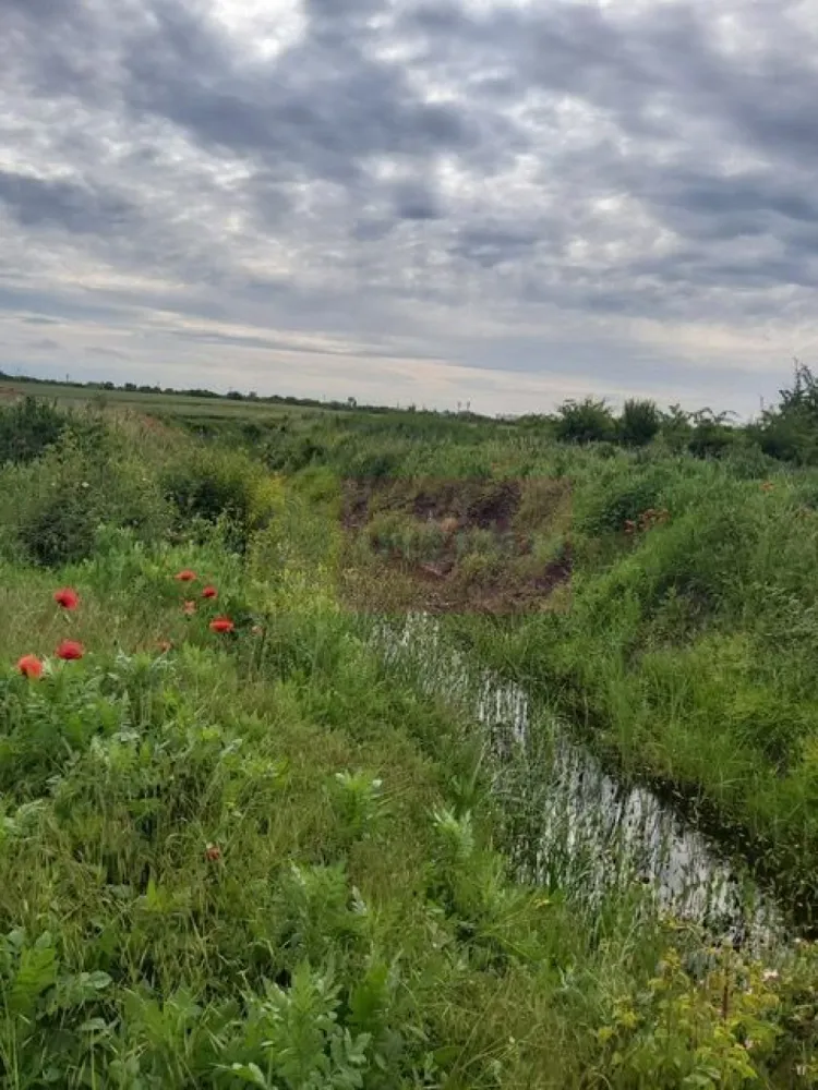 Teren Corbeanca- Drumul Garii Odai. - Compania imobiliara Apulum 94 va propune un teren de 9974 mp situat in Corbeanca- Ilfov, in zona strazii Drumul Garii Odai- Str Cantonului- Str Radarului. 
Terenul are in imediata apropiere autostrada A0- la care se lucreaza si este in viitoare dezvoltare. 
Curentul este la aproximativ 100-150 metri. 
Pentru vizionare si mai milte detalii nu ezitati sa ma contactati pe nr 0733683446- Laura Ionescu.