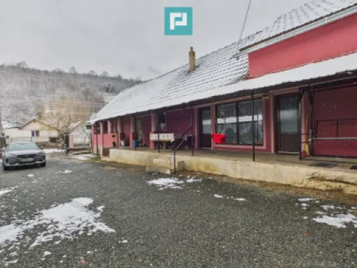 Casă individuală în Lipova