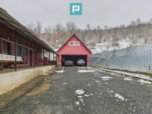 Casă individuală în Lipova