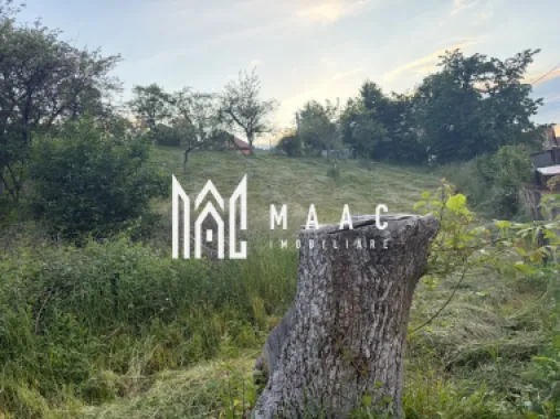 Logo MAAC IMOBILIARE logo