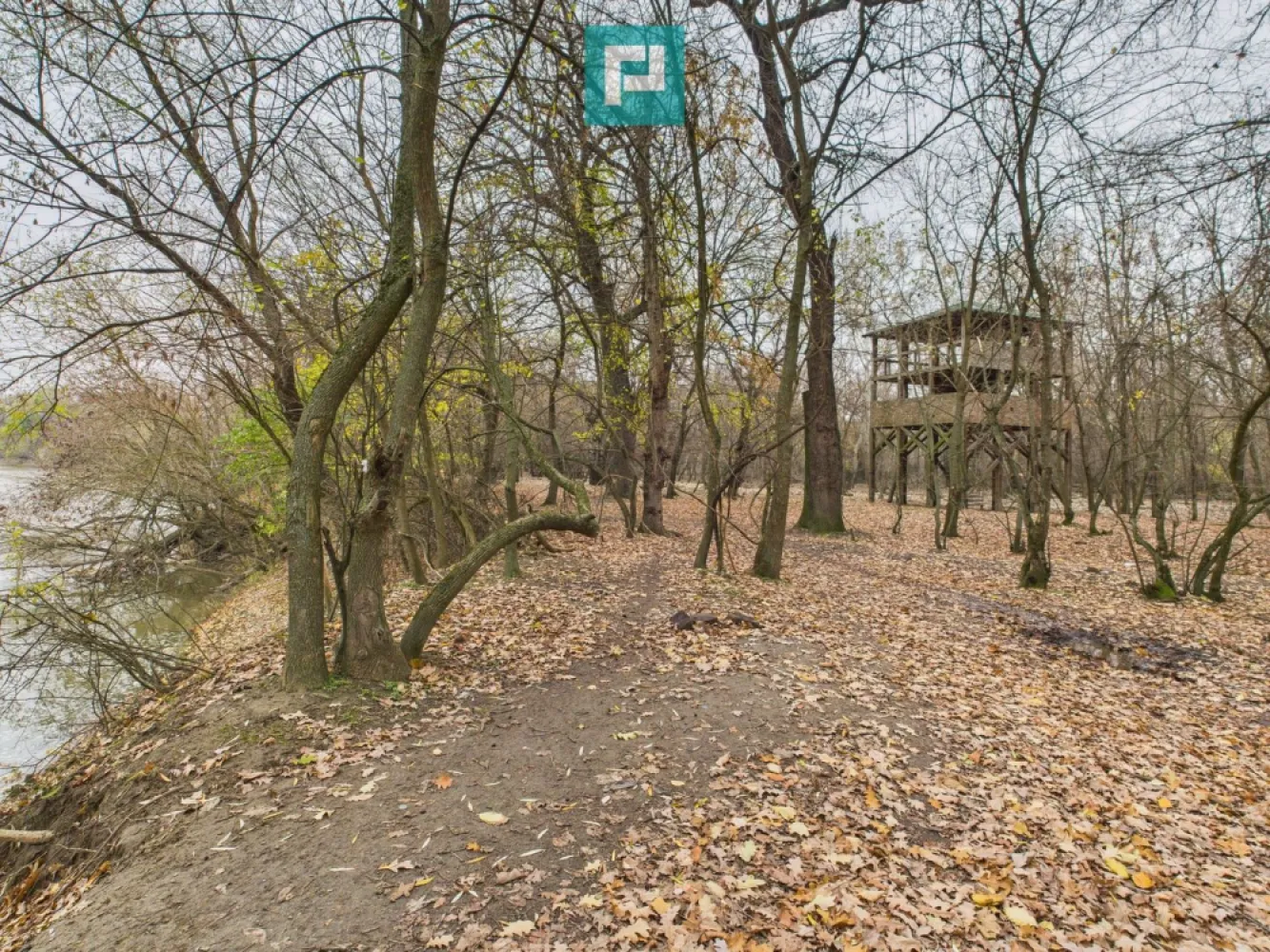 Teren spectaculos la Periam Port