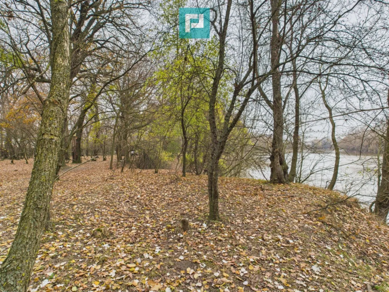 Teren spectaculos la Periam Port