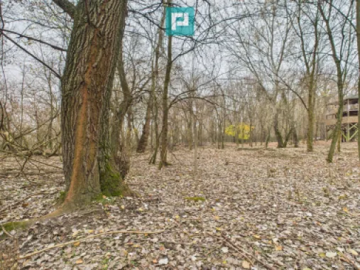 Teren spectaculos la Periam Port