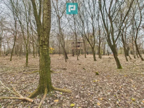 Teren spectaculos la Periam Port