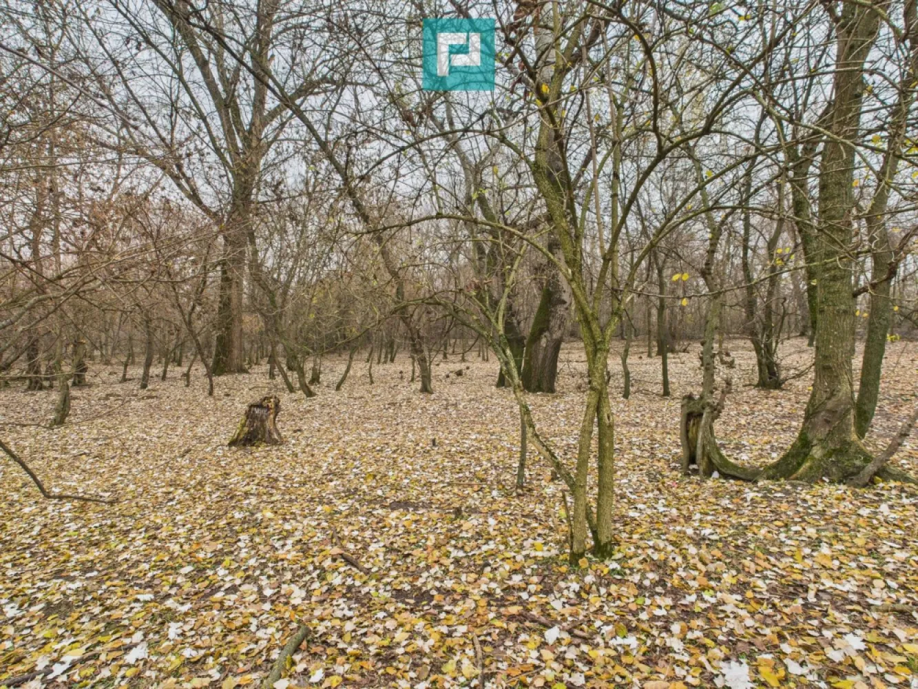 Teren spectaculos la Periam Port