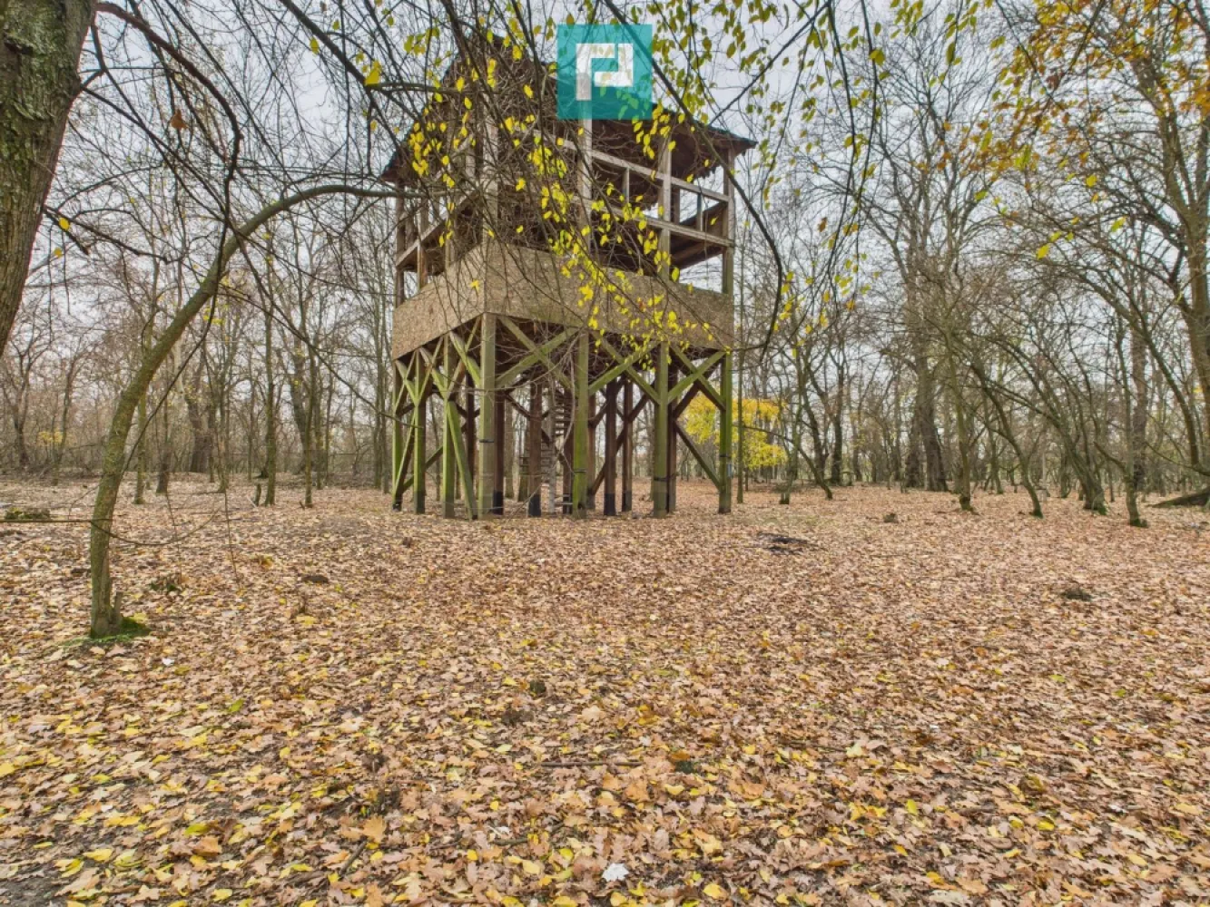 Teren pe malul Muresului- oportunitati multiple