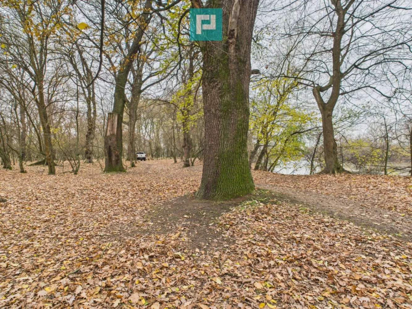 Teren pe malul Muresului- oportunitati multiple