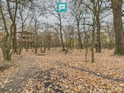 Teren pe malul Muresului- oportunitati multiple