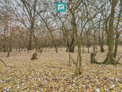 Teren pe malul Muresului- oportunitati multiple