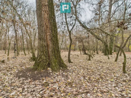 Teren pe malul Muresului- oportunitati multiple