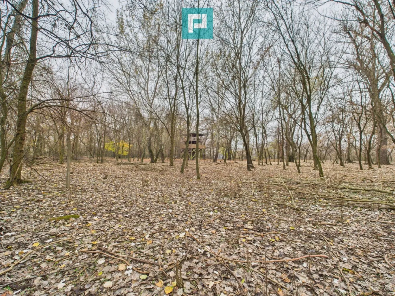 Teren pe malul Muresului- oportunitati multiple