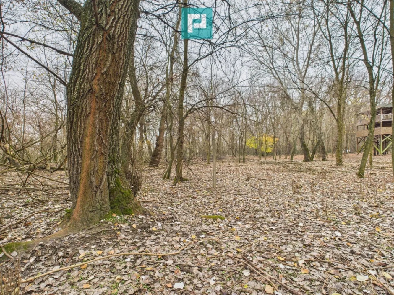 Teren pe malul Muresului- oportunitati multiple