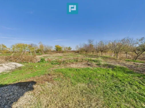 Proprietate impresionantă în Nădab