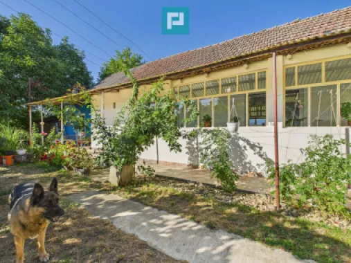 Casă 4 camere centru Vinga