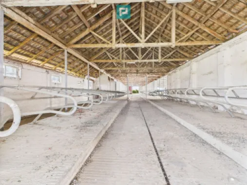 Complex industrial cu hale și teren în Orțișoara