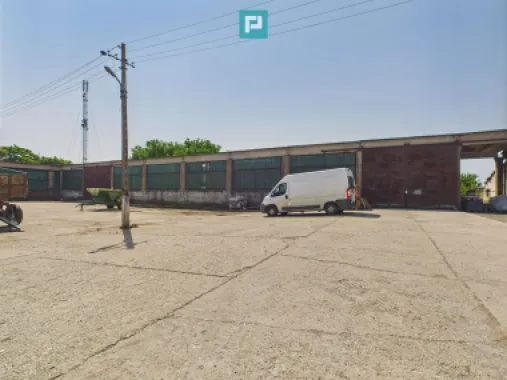 Complex industrial cu hale și teren în Orțișoara