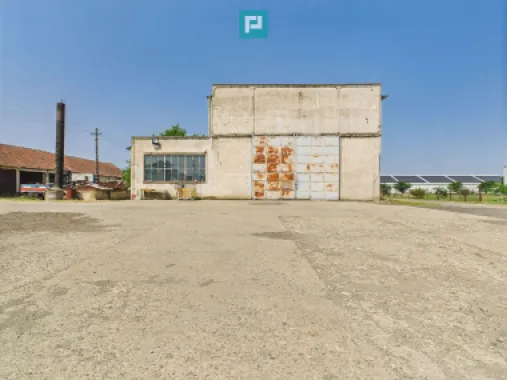 Complex industrial cu hale și teren în Orțișoara