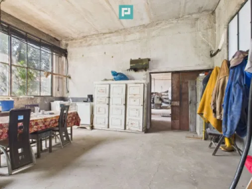 Complex industrial cu hale și teren în Orțișoara