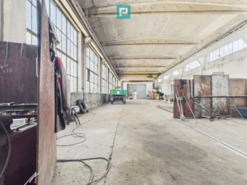 Complex industrial cu hale și teren în Orțișoara
