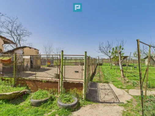 Casă cu grădină mare la 30 km de Timișoara