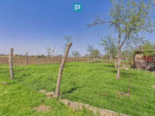 Casă cu grădină mare la 30 km de Timișoara